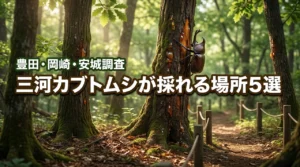 三河エリアで近くカブトムシが採れる場所5選！豊田・岡崎・安城の公園を徹底調査