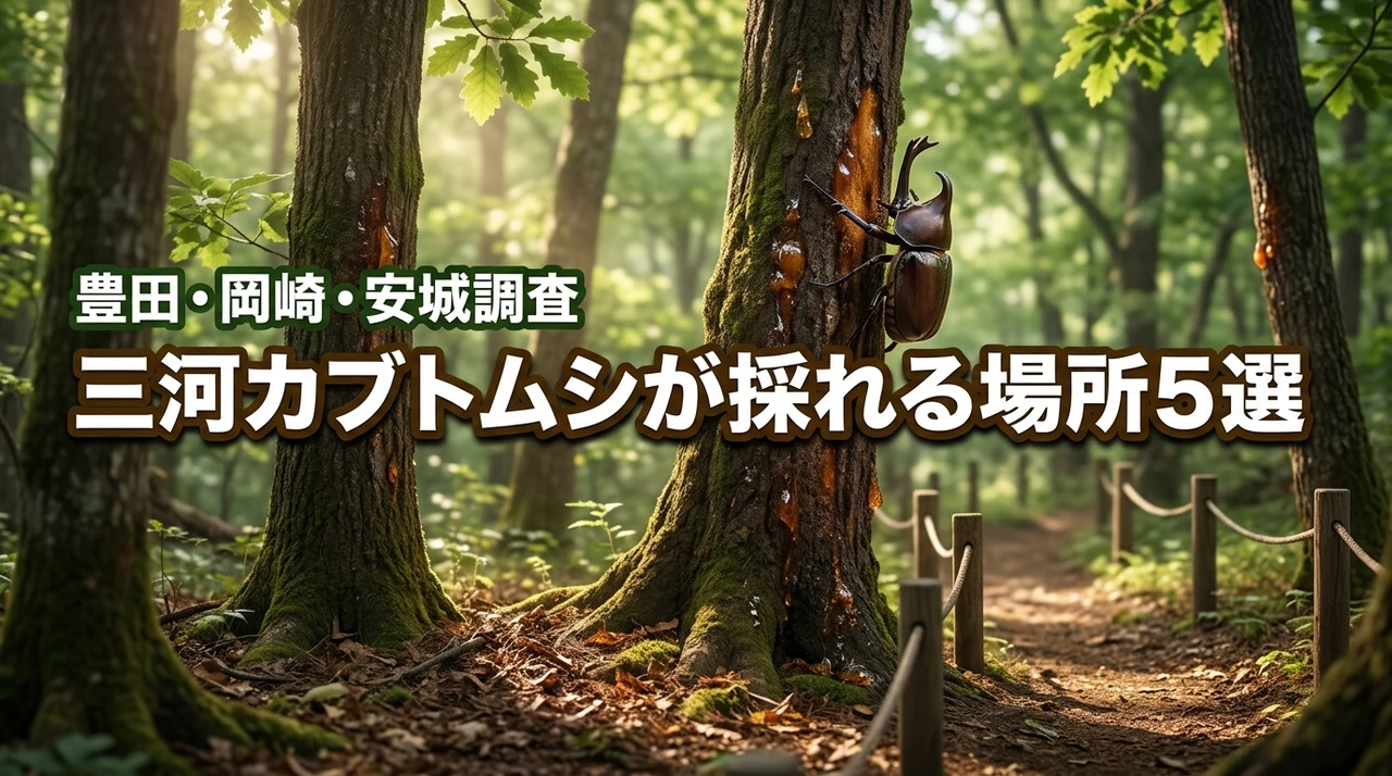 三河エリアで近くカブトムシが採れる場所5選！豊田・岡崎・安城の公園を徹底調査